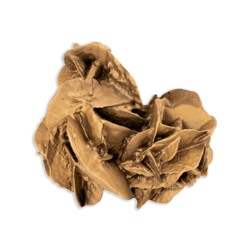 Desert Rose Sculpture - Bronze 12 cm