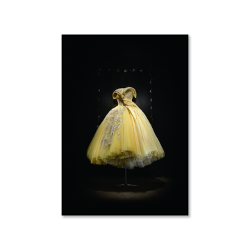 Christian Dior A5 Postcard Look 25 Dress