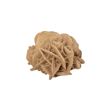 Desert Rose - Resin Magnet