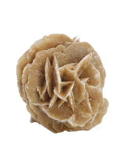 Desert Rose Small